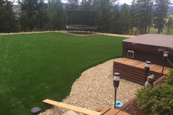 Synthetic Turf International SoftLawn Lawn and Landscape Artificial Grass