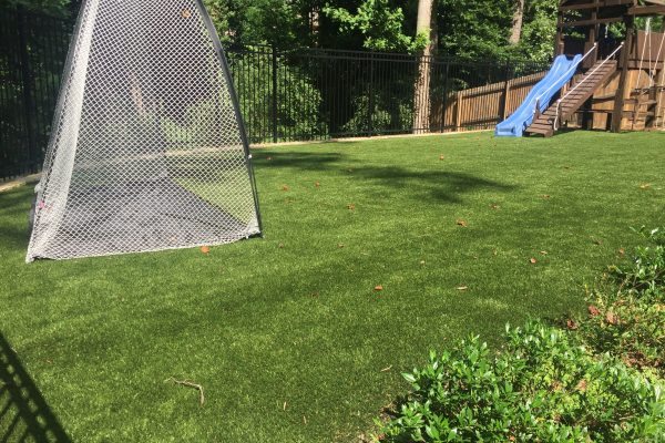 Synthetic Grass in Backyard