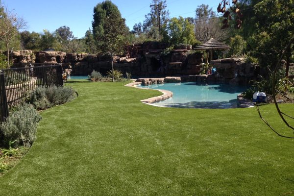 Synthetic Turf Lawn