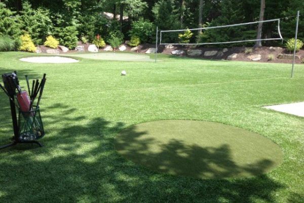 Synthetic Turf International SoftLawn Lawn and Landscape Artificial Grass