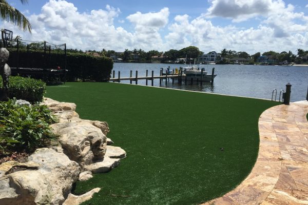 Synthetic Turf International SoftLawn Lawn and Landscape Artificial Grass