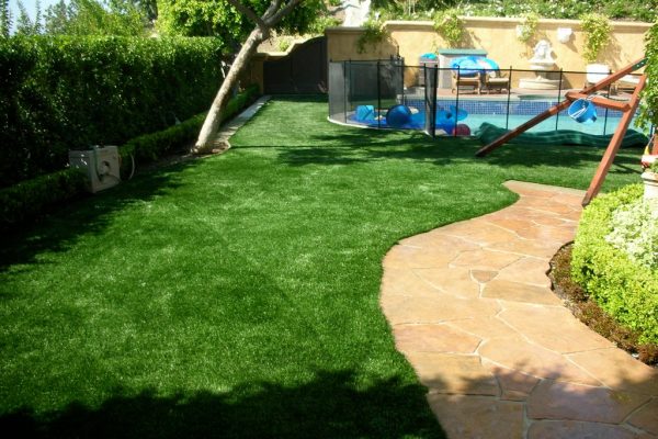 Synthetic Turf International SoftLawn Lawn and Landscape Artificial Grass