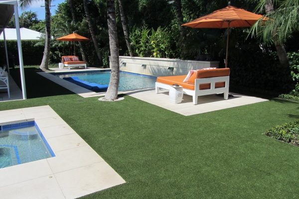 Synthetic Turf International SoftLawn Lawn and Landscape Artificial Grass