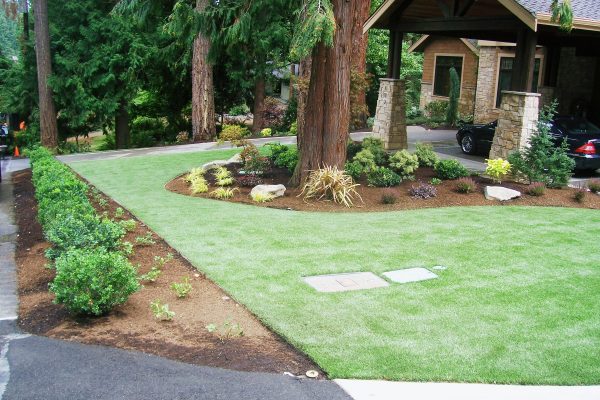 Synthetic Turf International SoftLawn Lawn and Landscape Artificial Grass