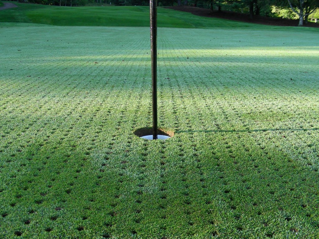 Aerated Putting Green