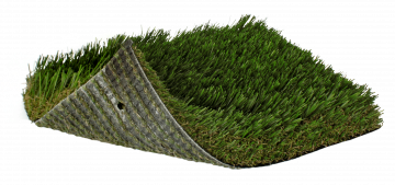 SoftLawn® Fine Fescue | PL934