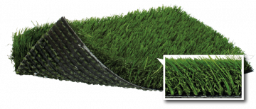 SoftLawn® Diamond Fescue | PL933