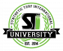 STI University Logo - Synthetic Turf International