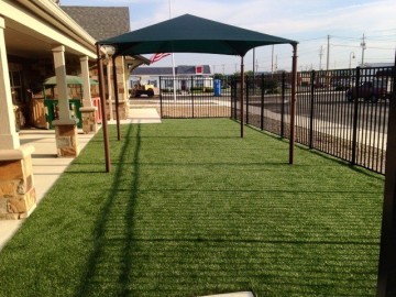 STI Playground Turf SoftLawn Emerald Rye® 