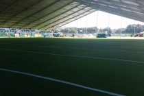 Synthetic Turf Application