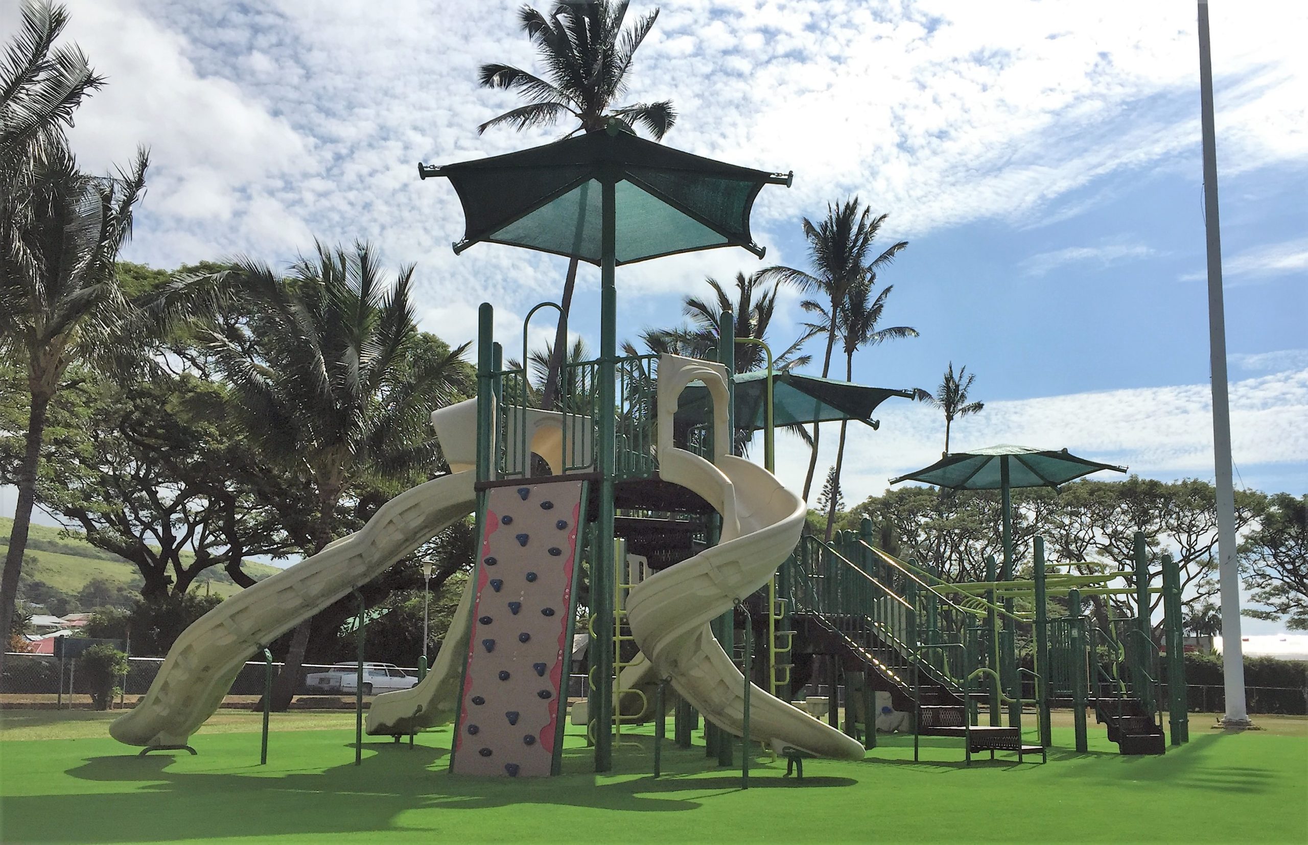 Synthetic Grass Supplier Honolulu Synthetic Turf International