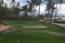 Residential Putting Green North Shore
