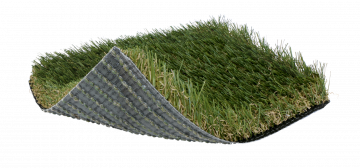 SoftLawn® Golden Fescue
