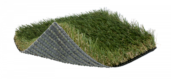 SoftLawn® Golden Fescue