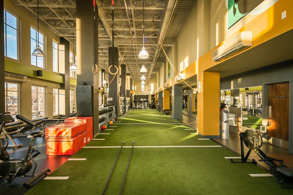 Indoor Training, Perfect For When You are Stuck indoors! Synthetic