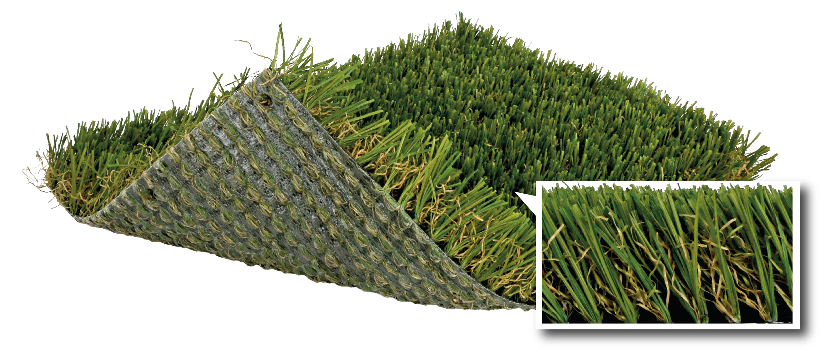 SoftLawn® Fresh Zoysia Plus - Synthetic Turf International