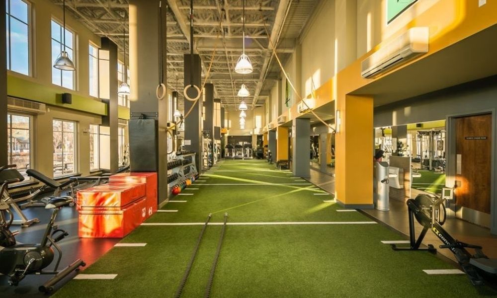 Artificial Turf with white lines spread throughout a gym facility