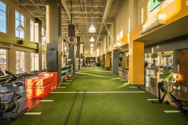Artificial Turf with white lines spread throughout a gym facility