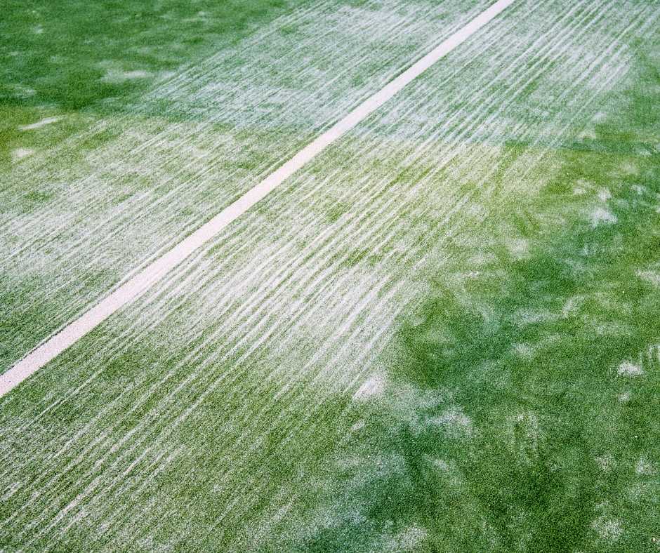 The Best Ways to Clean Artificial Grass and Make it Look Brand New