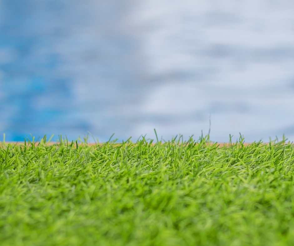 Install Fake Grass Around Your Pool - Xtreme Green Synthetic Turf