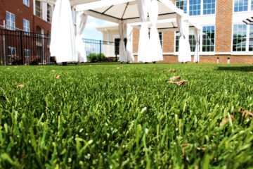 Synthetic Turf Install