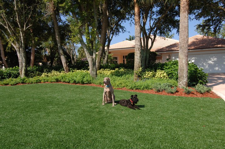 Pros Cons Of A South Florida Artificial Gr Lawn Vs Real South Florida Synthetic Gr Lawn Superb Turf