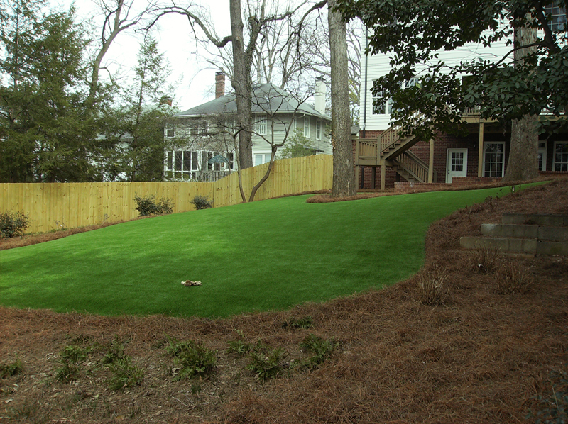 Reasons to Hire a Professional Artificial Turf Installer for Your